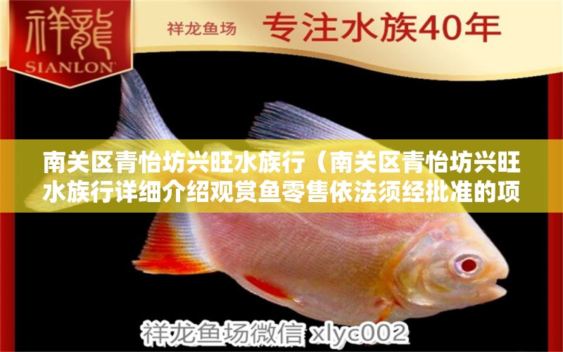 南关区青怡坊兴旺水族行（南关区青怡坊兴旺水族行详细介绍观赏鱼零售依法须经批准的项目） 全国观赏鱼市场 第2张