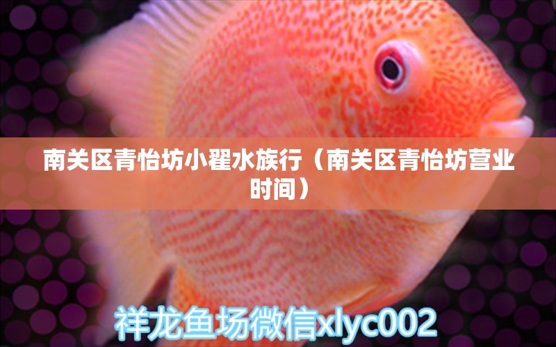 南关区青怡坊小翟水族行（南关区青怡坊营业时间） 全国水族馆企业名录