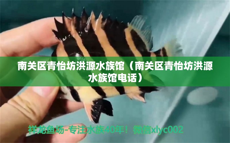 南关区青怡坊洪源水族馆（南关区青怡坊洪源水族馆电话） 全国水族馆企业名录