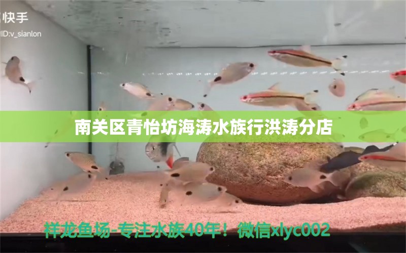 南关区青怡坊海涛水族行洪涛分店