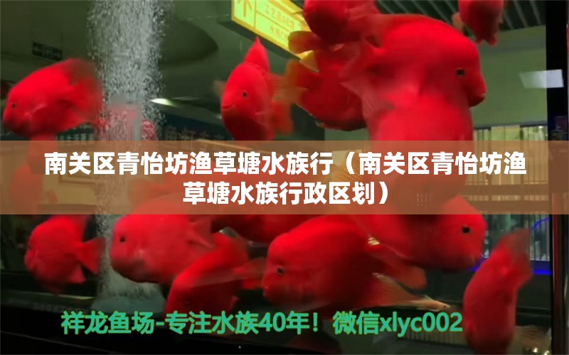 南关区青怡坊渔草塘水族行（南关区青怡坊渔草塘水族行政区划）