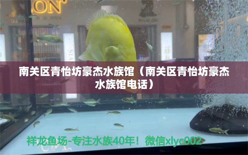 南关区青怡坊豪杰水族馆（南关区青怡坊豪杰水族馆电话）