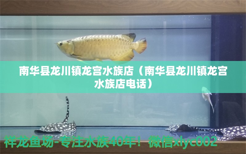 南华县龙川镇龙宫水族店（南华县龙川镇龙宫水族店电话）