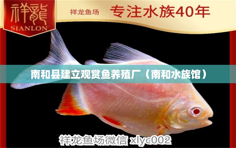 南和县建立观赏鱼养殖厂（南和水族馆）