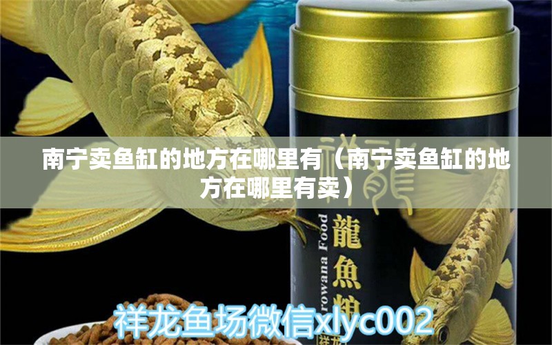 南宁卖鱼缸的地方在哪里有（南宁卖鱼缸的地方在哪里有卖） 祥龙水族医院