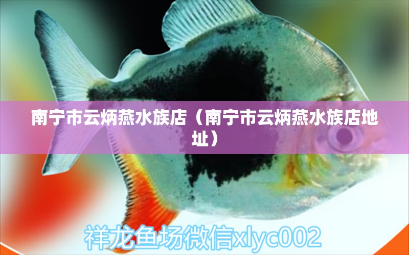 南宁市云炳燕水族店（南宁市云炳燕水族店地址） 全国水族馆企业名录