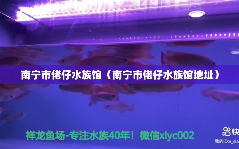 南宁市佬仔水族馆（南宁市佬仔水族馆地址） 全国水族馆企业名录