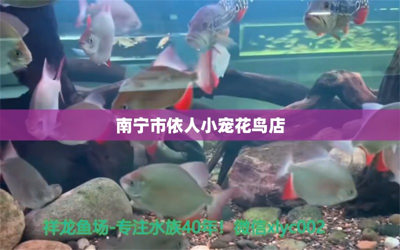 南宁市依人小宠花鸟店 全国水族馆企业名录