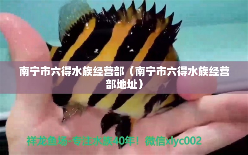 南宁市六得水族经营部（南宁市六得水族经营部地址） 全国水族馆企业名录