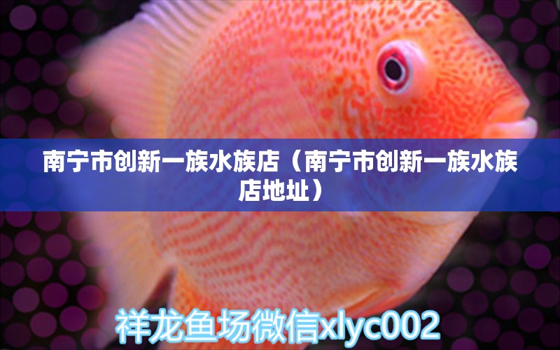 南宁市创新一族水族店（南宁市创新一族水族店地址）