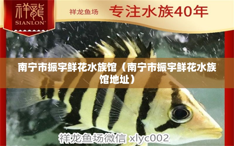 南宁市振宇鲜花水族馆（南宁市振宇鲜花水族馆地址） 全国水族馆企业名录