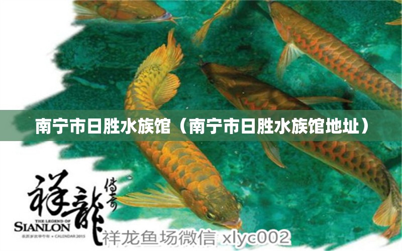 南宁市日胜水族馆（南宁市日胜水族馆地址）