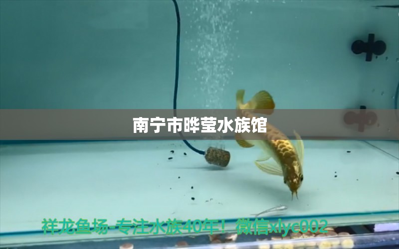 南宁市晔莹水族馆 全国水族馆企业名录 第1张