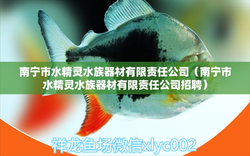 南宁市水精灵水族器材有限责任公司（南宁市水精灵水族器材有限责任公司招聘） 全国水族馆企业名录