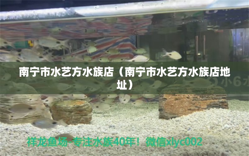 南宁市水艺方水族店（南宁市水艺方水族店地址）