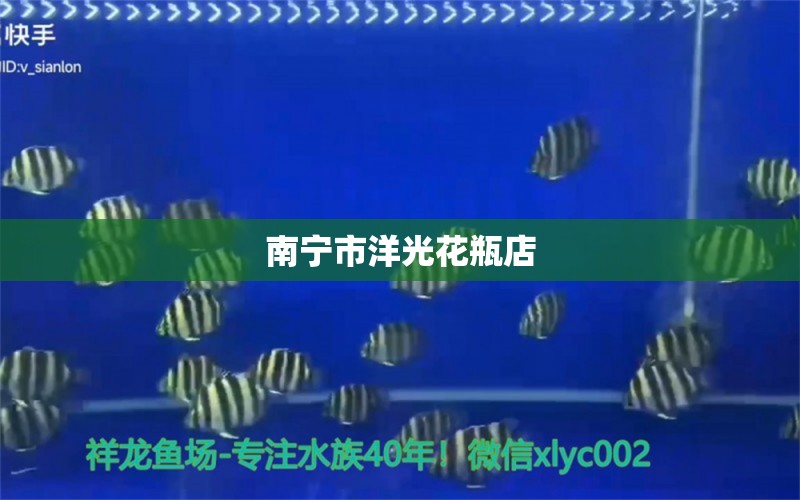 南宁市洋光花瓶店 全国水族馆企业名录