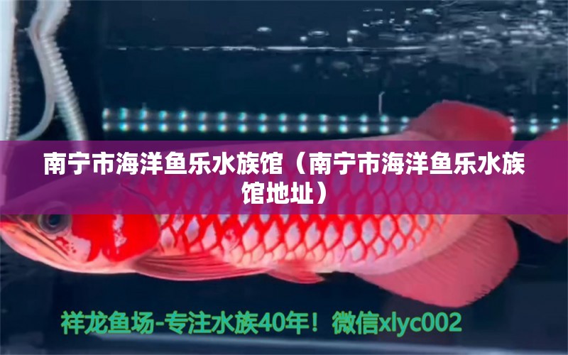 南宁市海洋鱼乐水族馆（南宁市海洋鱼乐水族馆地址）