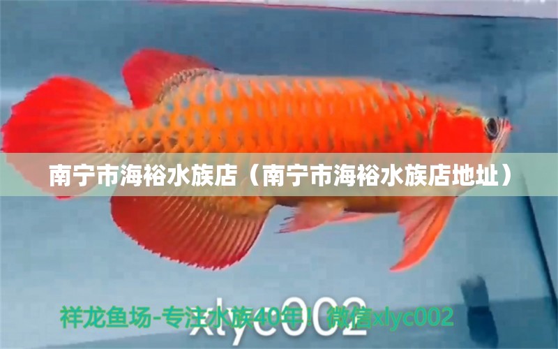 南宁市海裕水族店（南宁市海裕水族店地址）