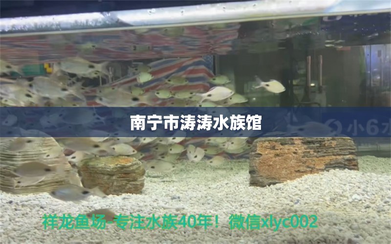 南宁市涛涛水族馆