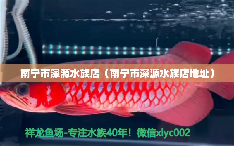 南宁市深源水族店（南宁市深源水族店地址）