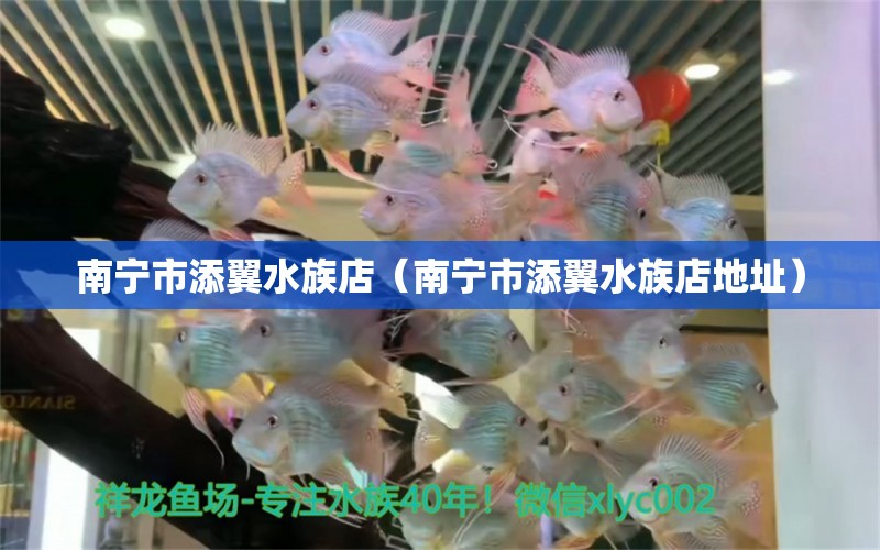 南宁市添翼水族店（南宁市添翼水族店地址）