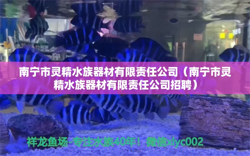 南宁市灵精水族器材有限责任公司（南宁市灵精水族器材有限责任公司招聘） 全国水族馆企业名录