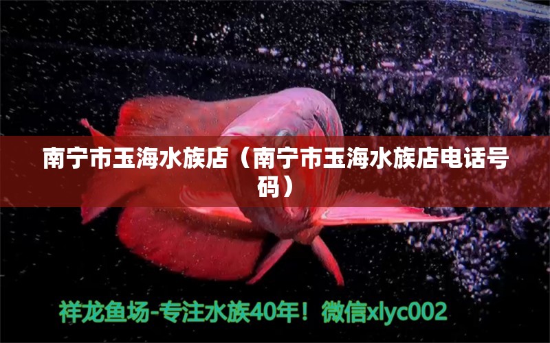 南宁市玉海水族店（南宁市玉海水族店电话号码）