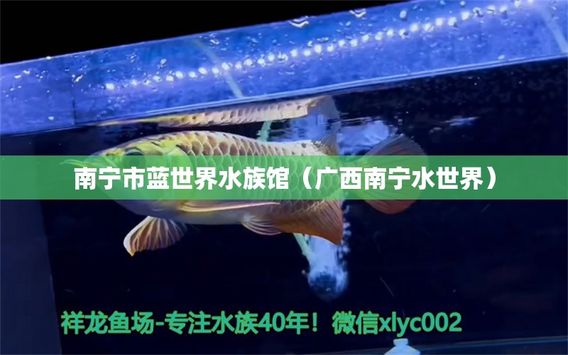 南宁市蓝世界水族馆（广西南宁水世界）