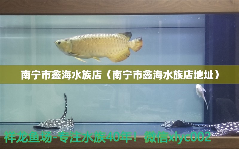 南宁市鑫海水族店（南宁市鑫海水族店地址） 全国水族馆企业名录