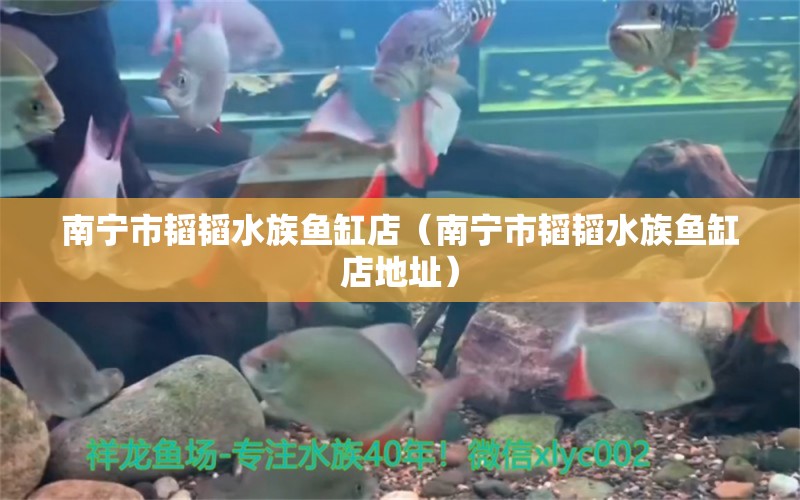 南宁市韬韬水族鱼缸店（南宁市韬韬水族鱼缸店地址）