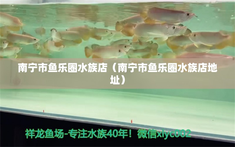 南宁市鱼乐圈水族店（南宁市鱼乐圈水族店地址）