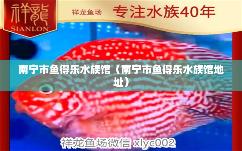 南宁市鱼得乐水族馆（南宁市鱼得乐水族馆地址） 全国水族馆企业名录