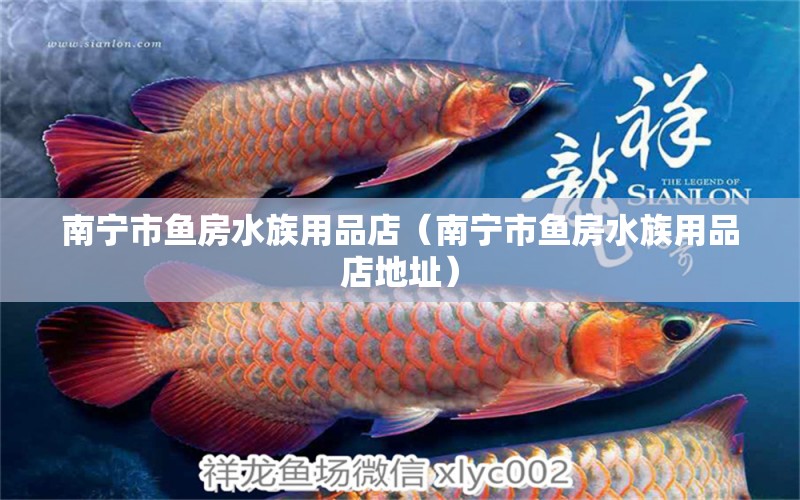 南宁市鱼房水族用品店（南宁市鱼房水族用品店地址）