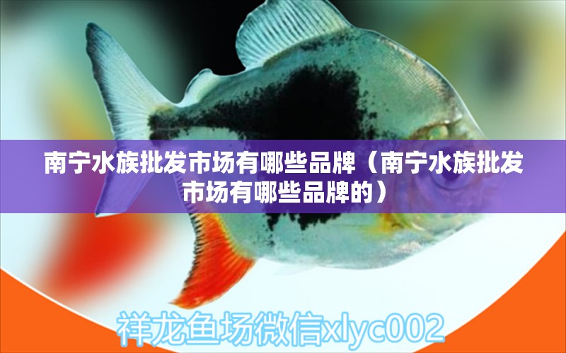 南宁水族批发市场有哪些品牌（南宁水族批发市场有哪些品牌的）