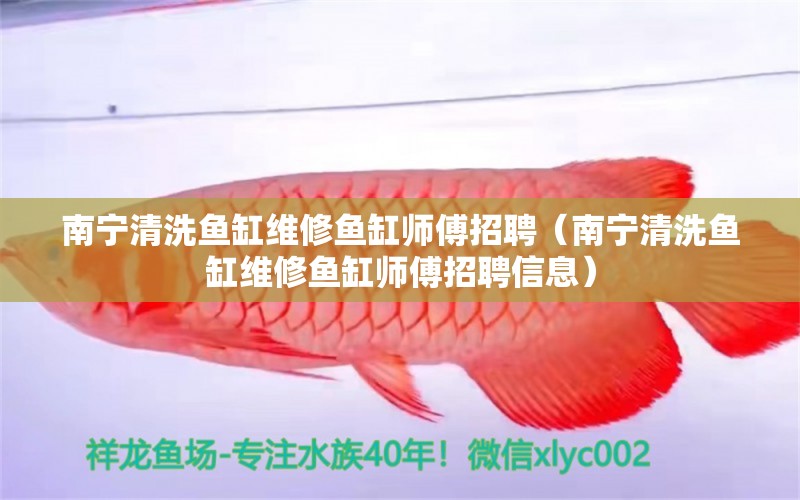 南宁清洗鱼缸维修鱼缸师傅招聘（南宁清洗鱼缸维修鱼缸师傅招聘信息）