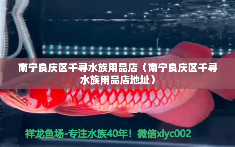 南宁良庆区千寻水族用品店（南宁良庆区千寻水族用品店地址） 水族用品