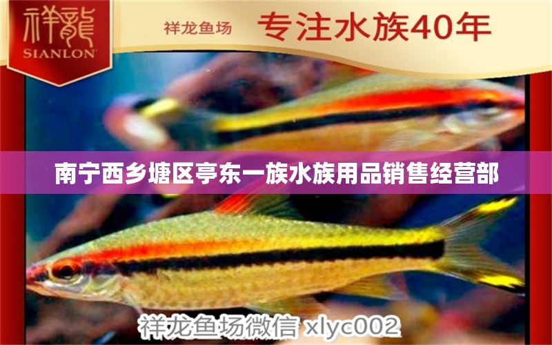 南宁西乡塘区亭东一族水族用品销售经营部