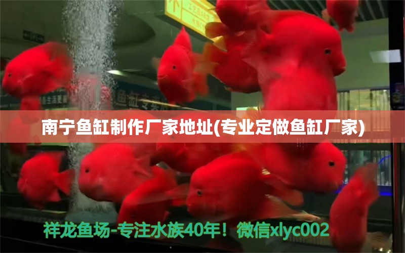 南宁鱼缸制作厂家地址(专业定做鱼缸厂家) 水族杂谈