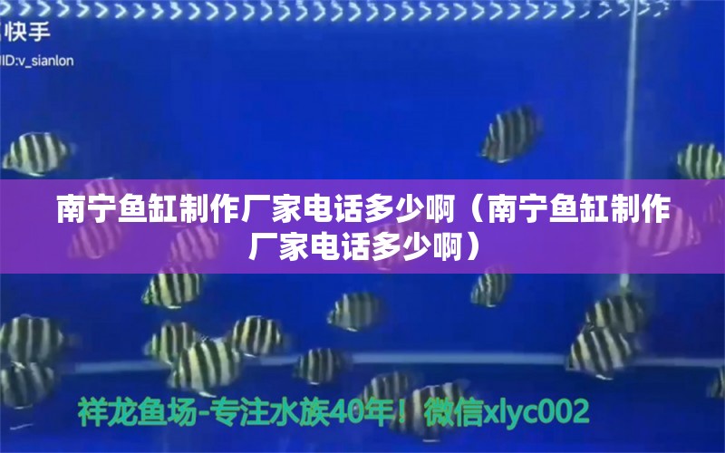 南宁鱼缸制作厂家电话多少啊（南宁鱼缸制作厂家电话多少啊） 祥龙水族医院