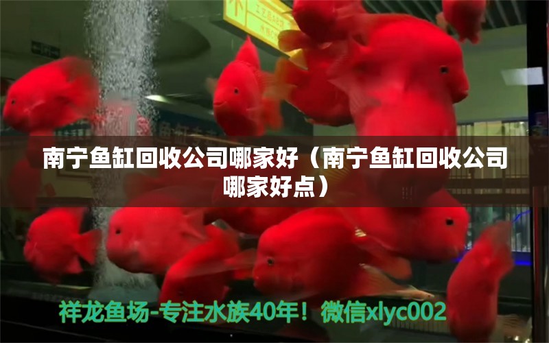 南宁鱼缸回收公司哪家好（南宁鱼缸回收公司哪家好点） 祥龙水族医院