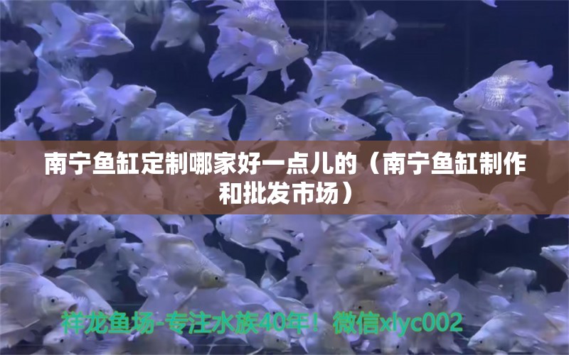 南宁鱼缸定制哪家好一点儿的（南宁鱼缸制作和批发市场）