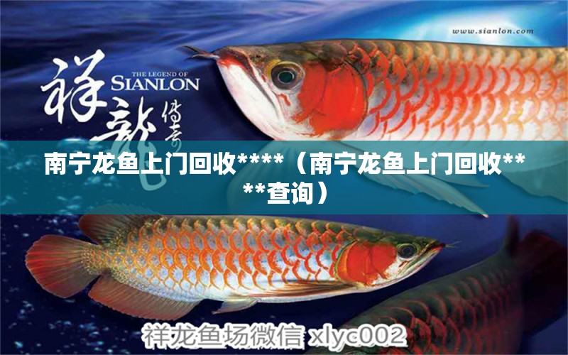 南宁龙鱼上门回收****（南宁龙鱼上门回收****查询） 祥龙水族医院