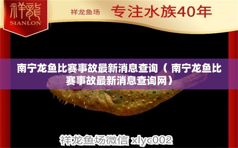 南宁龙鱼比赛事故最新消息查询（ 南宁龙鱼比赛事故最新消息查询网） 爱龙仕 第1张