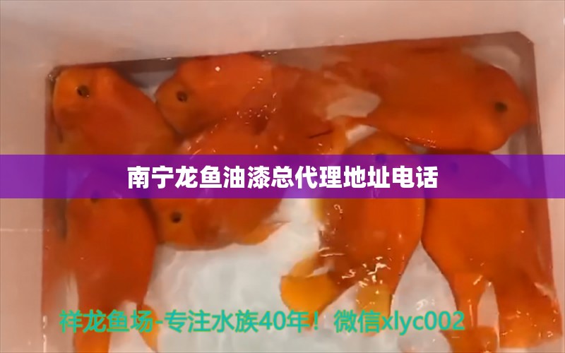 南宁龙鱼油漆总代理地址电话 水族问答