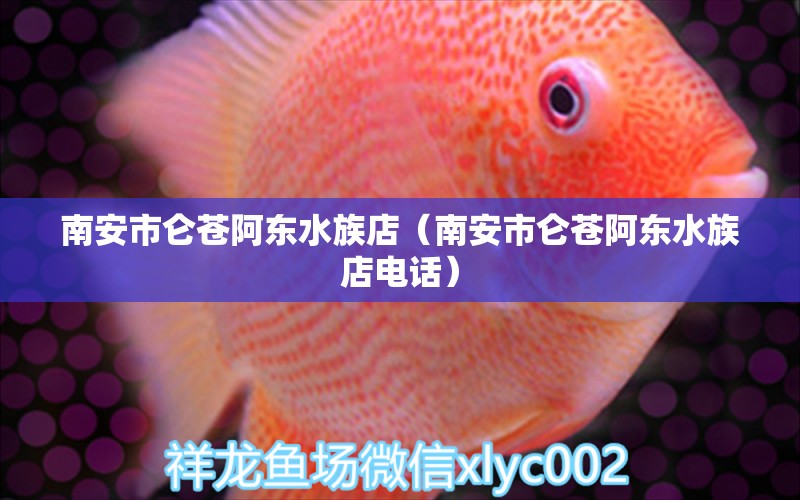 南安市仑苍阿东水族店（南安市仑苍阿东水族店电话）