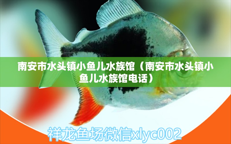 南安市水头镇小鱼儿水族馆（南安市水头镇小鱼儿水族馆电话） 全国水族馆企业名录