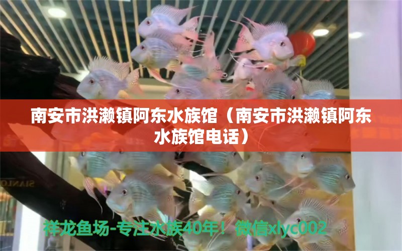 南安市洪濑镇阿东水族馆（南安市洪濑镇阿东水族馆电话） 全国水族馆企业名录