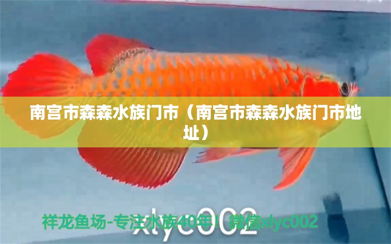 南宫市森森水族门市（南宫市森森水族门市地址） 全国水族馆企业名录