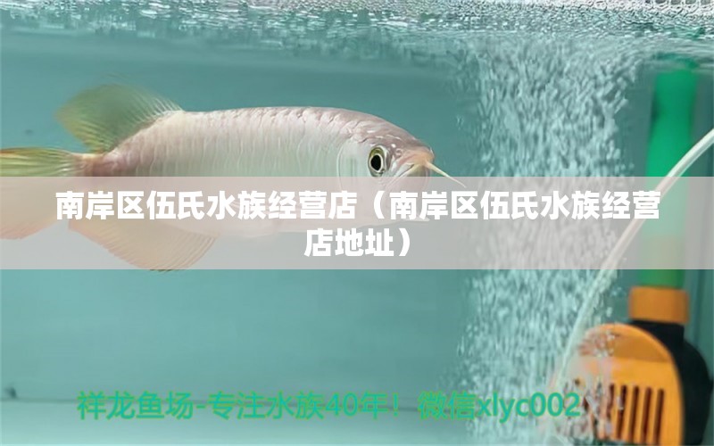 南岸区伍氏水族经营店（南岸区伍氏水族经营店地址）