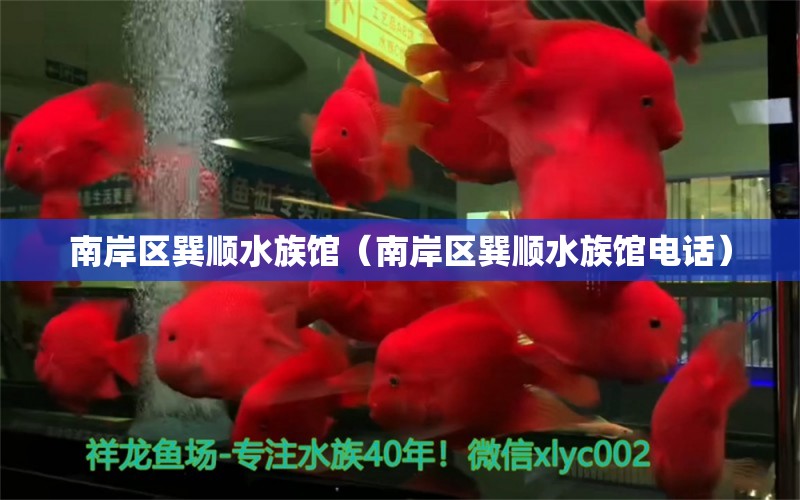 南岸区巽顺水族馆（南岸区巽顺水族馆电话） 全国水族馆企业名录